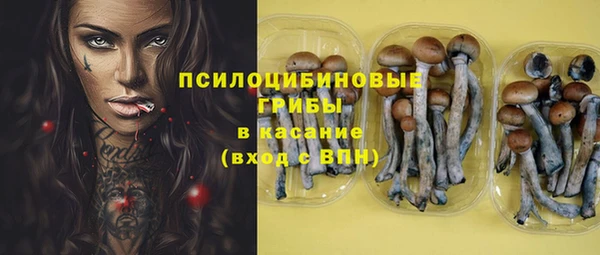 ПСИЛОЦИБИНОВЫЕ ГРИБЫ Рославль