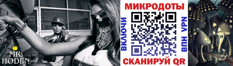 Купить закладки  Дербент  Галлюциногенные грибы Psilocybine cubensis 